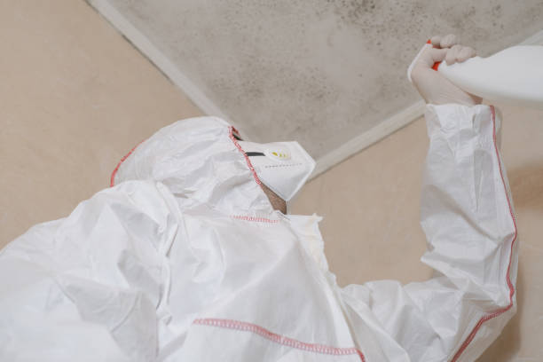 Best Mold Remediation for Specific Building Types in Locust, NC